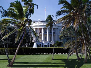 Soon the White House lawns will be full of palm groves.